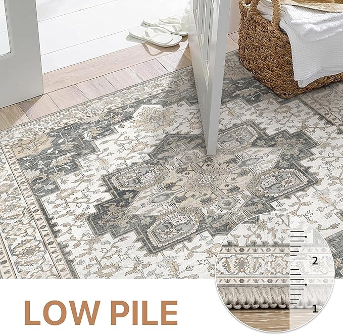 GENIMO Area Rug 2x3 Doormat, Machine Washable Low Pile Rugs, Small Retro Chenille Entryway Mat for Entrance, Hallway, Kitchen and Corridor, Heathered Grey