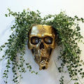 Gothic Skull Planter - Wall or Table Top, Unique Gold Skull Face Vase with Drainage, Spooky Indoor/Outdoor Plants