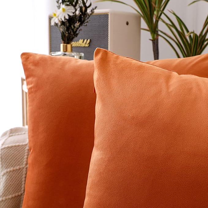 NiNi ALL Decorative Throw Pillow Covers Pack of 2, Halloween Velvet Cushion Case for Couch Bedroom Living Room Outdoor, Pillow Covers 20x20 Inch（50 x 50 cm） Orange
