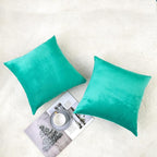 NiNi ALL Decorative Throw Pillow Covers Velvet 26x26 Inch Pack of 2 Aqua Green Cushion Covers Soft for Couch Sofa Bedroom Living Room Outdoor