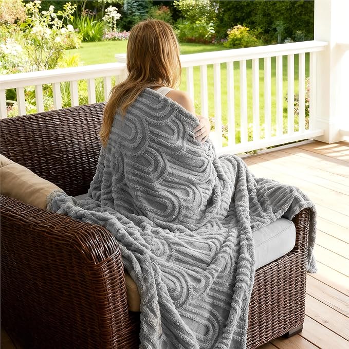 Bedsure GentleSoft Twin Blanket for Bed - Cozy Soft Blankets for Women, Cute Small Fleece Throws for Girls, Graduation Decorations Gift for Her Him School Dorm, Light Grey, 60x80 Inches