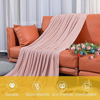 NTBAY Acrylic Knitted Throw Blanket, Lightweight and Soft Cozy Decorative Woven Blanket with Tassels for Travel, Couch, Bed, Sofa, 51x67 Inches, Light Pink Striped