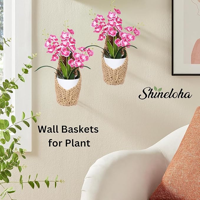 2 Pack 4 inch Macrame Wall Plant Hanger, Hanging Orchid Basket | Wall Plant Holder, Wall Planters for Indoor Plants (2 Pack, up to 4 inch Pot)