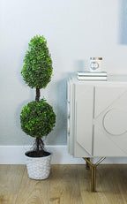 Admired By Nature Set of 2 White Bamboo 6" w/Soft Liner Bambo Pot