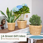 Indoor Water Hyacinth Plant Basket Set of 3, Woven Planter Baskets with Plastic Liner for Plants, Handwoven Plant Pots Decorative Wicker Planters for Home Décor (Saucer NOT Included)