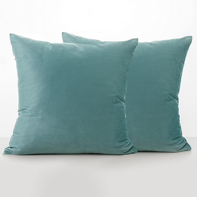 NiNi ALL Decorative Throw Pillow Covers Pack of 2, Velvet Cushion Case for Couch Bedroom Living Room Outdoor, Pillow Covers 16x16 Inch（40 x 40 cm） Light Blue