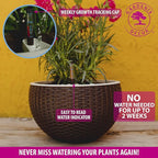 GARDENIX DECOR Self Watering Hanging Planter, 11'' Indoor, Brown, Coco Coir, with Water Level Indicator, Round, 1 Pack