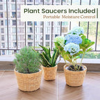 Indoor Water Hyacinth Plant Basket Set of 3, Woven Planter Baskets with Plastic Liner for Plants, Handwoven Plant Pots Decorative Wicker Planters for Home Décor (Saucer NOT Included)
