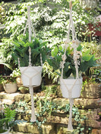 3 in 1 Macrame Kit for Beginners, 3mm x 220yards Cotton Macrame Cord, 3 DIY Macrame Plant Hanger Kits for Adults with Instructions Macrame Supplies Best for Macrame Plant Hanger Kit