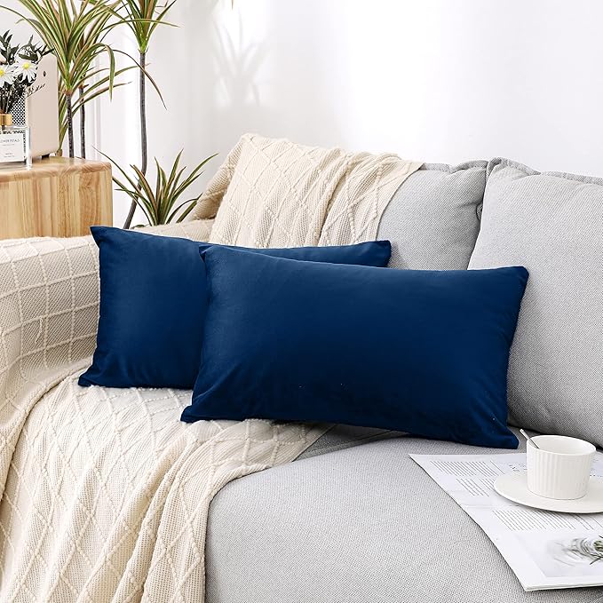 NiNi ALL Decorative Throw Pillow Covers Velvet 20x30 Inch Pack of 2 Dark Blue Cushion Covers Soft for Couch Sofa Bedroom Living Room Outdoor