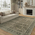 Light Brown Area Rug 6x9 Vintage Washable Indoor Door Mat Living Room Carpet Tribal Distressed Retro Accent Throw Rug for Office Dining Room Bathroom Faux Wool