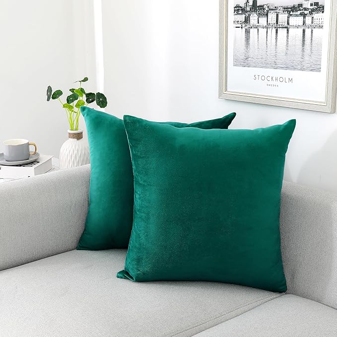 NiNi ALL Decorative Throw Pillow Covers Velvet 16x16 Inch Pack of 2 Teal Cushion Covers Soft for Couch Sofa Bedroom Living Room Outdoor