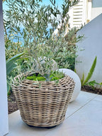 Kouboo Rattan Kobo Indoor Outdoor Planter Basket with Plastic Pot Large 65 Gallon Soil Capacity