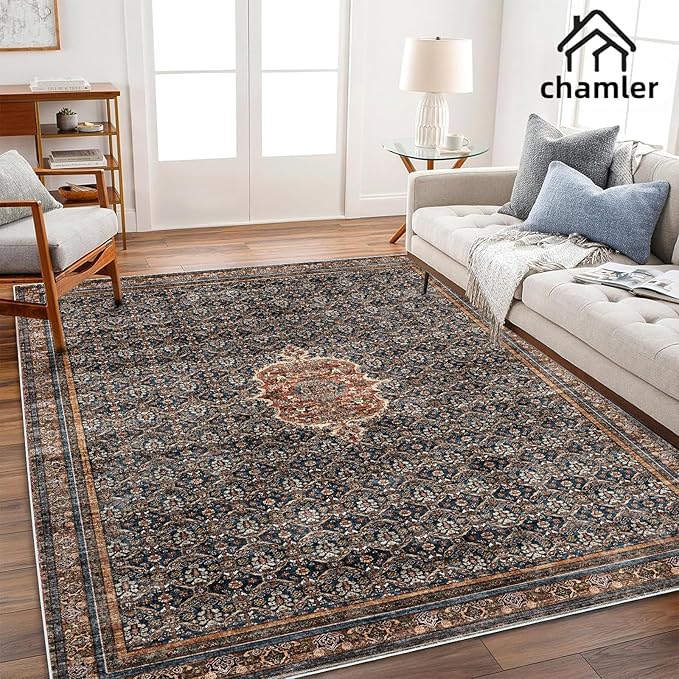 Washable Area Rug 9x12 Boho Chic Medallion Distressed Design Non-Shedding Easy Care Ideal for High Traffic Areas in Rug for Living Room Bedroom Office Coffee Table Large Carpet