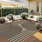 Outdoor Rug 5x7 Rugs for Living Room Washable Non-Slip Easy Jute Rug Indoor Outdoor Low Pile Ultra-Thin Area Rug Black Rainbow Carpet for Dining Room Bedroom Patio Office Dorm Nursery Floor Mats