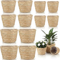12 Pcs Seagrass Plant Basket with Plastic Liners Woven Stylish Planter Baskets Bulk Indoor Outdoor Plants Woven Wicker Baskets for Flower Pots Cover and Room Decor Small (Mixed Size,Rustic)
