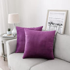 NiNi ALL Decorative Throw Pillow Covers Velvet Soft for Couch Sofa Bedroom Living Room Outdoor Pack of 2 20x20 Inch Purple