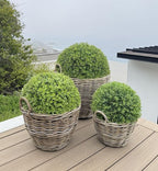 Kouboo Round Rattan Planter Basket with Handles - 11 Gallon Plastic Pot Liner with Drain Holes Included - No Saucer - Indoor and Outdoor Use