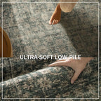 Washable Living Room Area Rug: 5x7 Rugs for Bedroom Vintage Stain Resistant Non Slip Low Pile Lightweight Boho Carpet for Kitchen Dining Room Farmhouse Kids Room Nursery