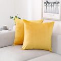 NiNi ALL Decorative Throw Pillow Covers Velvet Soft for Couch Sofa Bedroom Living Room Outdoor Pack of 2 20x20 Inch Yellow