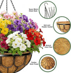 4 Pack 12 Inch Hanging Planters for Outdoor Plants, Black Metal Wire Hanging Flower Baskets with Coco Coir Liner, Large Hanging Plant Pots for Garden, Patio, Balcony, Indoor Home Decor