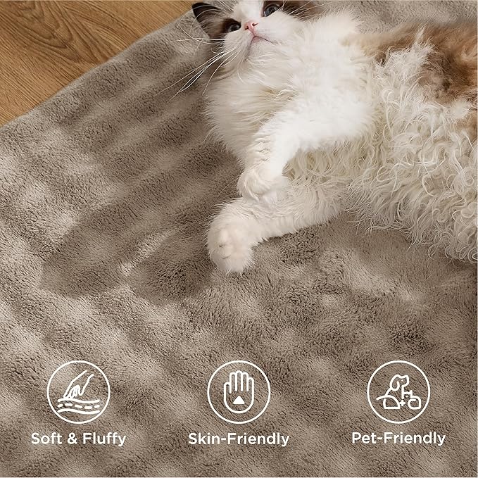Bedsure 3x5 Fluffy Area Rugs for Living Room, Machine Washable Rugs, Non-Slip Backing, Non-Shedding, Pet Friendly Throw Rug for Bedroom Dining Room, Brown