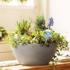 Clear Plant Watering Globes Set of 6 - Large Self Watering Globes for Indoor & Outdoor Plants - Automatic, Glass Watering Bulbs for Daily Use, Plant Watering Devices