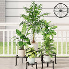5 Pack Metal Potted Plant Stand Small Short Flower Pot Holder for Multiple Plants Indoor Anti-Rust Plant Pot Rack Shelf Round Plant Holder for Home Garden