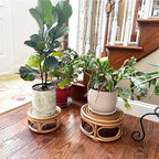 Set of 2 Large Rattan Wicker Round Risers Decorative Indoor Plant Stand, Mid Century Minimalist Modern Plant Stands, Boho Short Plant Stand Holder Suitable Fits 8'' and 12'' Pots