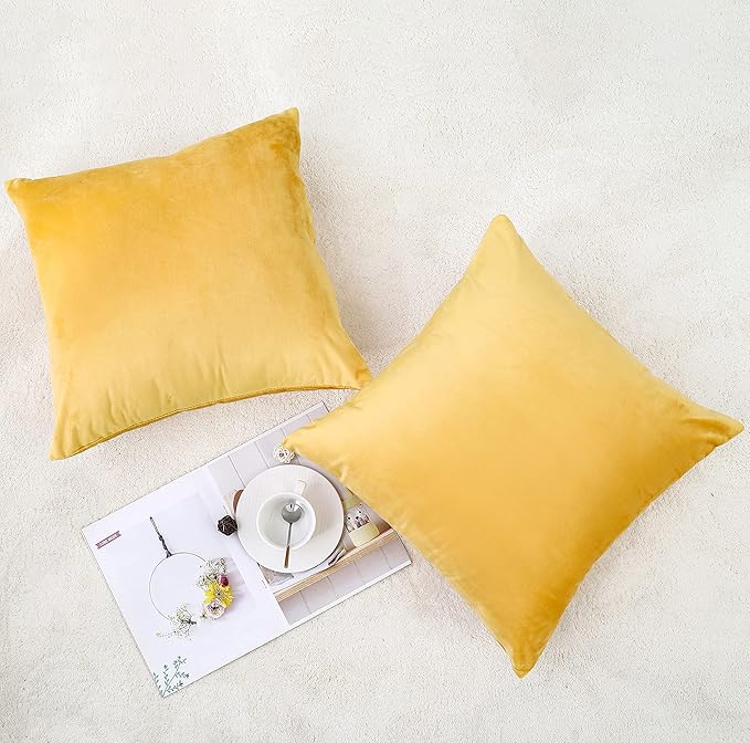 NiNi ALL Decorative Throw Pillow Covers Velvet Soft for Couch Sofa Bedroom Living Room Outdoor Pack of 2 20x20 Inch Yellow