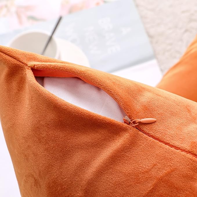 NiNi ALL Decorative Throw Pillow Covers Velvet 24x24 Inch Pack of 2 Orange Cushion Covers Soft for Couch Sofa Bedroom Living Room Outdoor