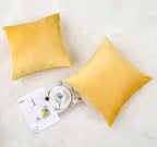 NiNi ALL Decorative Throw Pillow Covers Velvet Soft for Couch Sofa Bedroom Living Room Outdoor Pack of 2 18x18 Inch Yellow
