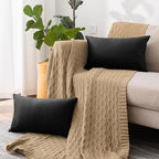 NiNi ALL Decorative Throw Pillow Covers Velvet 20x30 Inch Pack of 2 Black Cushion Covers Soft for Couch Sofa Bedroom Living Room Outdoor