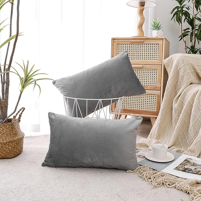NiNi ALL Decorative Throw Pillow Covers Pack of 2, Velvet Throw Pillow Cases for Couch Pillows Cover Bedroom Living Room Outdoor, Pillow Covers 12x20 Inch Grey