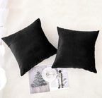 NiNi ALL Decorative Throw Pillow Covers Pack of 2 Velvet Throw Pillow Cases for Couch Pillows Cover Bedroom Living Room Outdoor, Pillow Covers 20x20 Inch Black