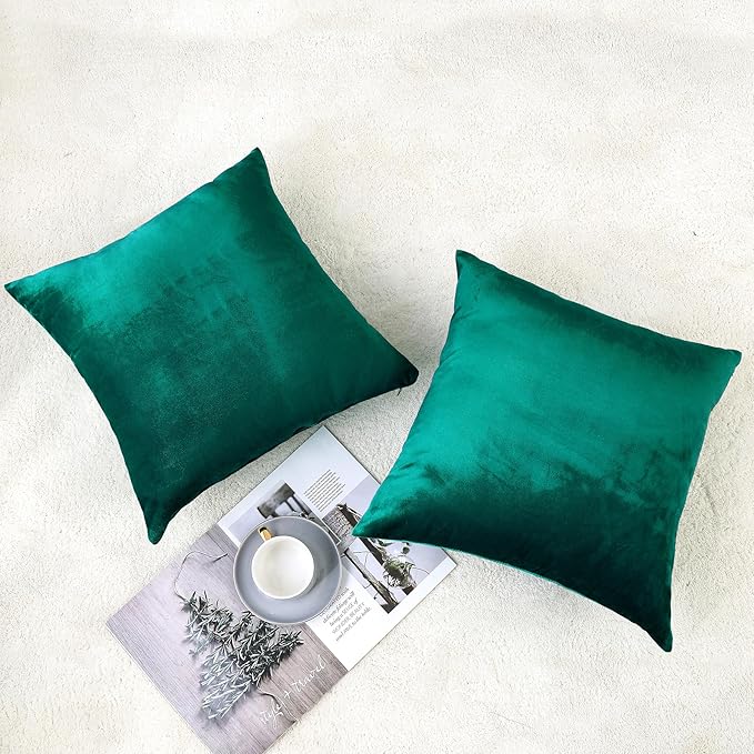 NiNi ALL Decorative Throw Pillow Covers Velvet 16x16 Inch Pack of 2 Teal Cushion Covers Soft for Couch Sofa Bedroom Living Room Outdoor