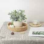 Hopewood Faux Plants, Small Fake Plant for Bathroom, Decorative Artificial Plants for Farmhouse Desk Shelf Decor with A Weave Basket (9.8inch)