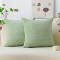 Home Brilliant 16x16 Spring Pillow Covers Set of 2 Small Throw Pillow Covers for Spring Living Room, 40 cm x 40 cm, 16 x 16 Inch, Sage Green