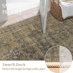 5x7 Brown Black Area Rug for Living Room Washable Vintage Distressed Carpet Bedroom Low Pile Non Slip Indoor Soft Retro Throw Accent Rug Office Kitchen Bathroom Dining Room