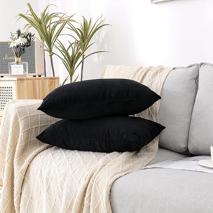 NiNi ALL Decorative Throw Pillow Covers Pack of 2 Velvet Throw Pillow Cases for Couch Sofa Bed Car Office Pillows Cover Bedroom Living Room Outdoor Black Pillow Covers 12x20 Inch
