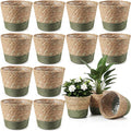 12 Pcs Seagrass Plant Basket with Plastic Liners Woven Stylish Planter Baskets Bulk Indoor Outdoor Plants Woven Wicker Baskets for Flower Pots Cover and Room Decor Small (Small,Farmhouse)