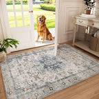 Machine Washable Throw Rugs for Entryway: Door Mat Indoor Entrance 3x5 Small Rug Stain Resistant Non-Slip Low Pile Soft Carpet for Kitchen Front Door Indoor Entry Bathroom Bedroom
