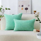 Home Brilliant Throw Pillows for Couch 18x18 Spring Pillow Covers Set of 2 Soft Textured Velvet Accent Pillowcases for Girl Dorm Sofa Decor, 45 cm x 45 cm, 18 x 18 Inch, Aqua Blue