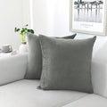 NiNi ALL Decorative Throw Pillow Covers Velvet Soft for Couch Sofa Bedroom Living Room Outdoor Pack of 2 20x20 Inch Grey
