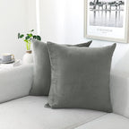 NiNi ALL Decorative Throw Pillow Covers Velvet Soft for Couch Sofa Bedroom Living Room Outdoor Pack of 2 20x20 Inch Grey