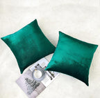 NiNi ALL Decorative Throw Pillow Covers Velvet Soft for Couch Sofa Bedroom Living Room Outdoor Pack of 2 20x20 Inch Teal