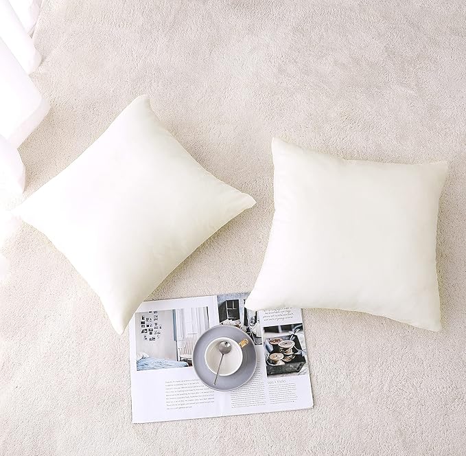 NiNi ALL Decorative Throw Pillow Covers Velvet Soft for Couch Sofa Bedroom Living Room Outdoor Pack of 2 18x18 Inch Cream White