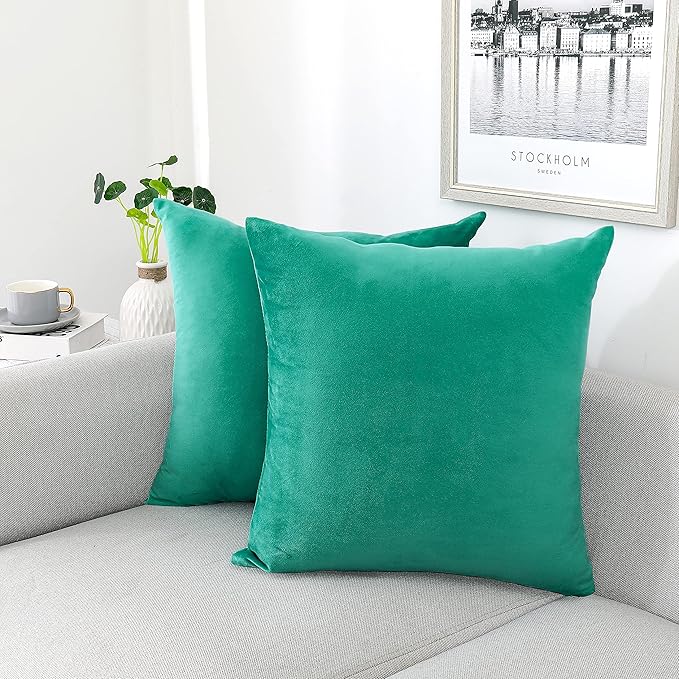 NiNi ALL Decorative Throw Pillow Covers Velvet Soft for Couch Sofa Bedroom Living Room Outdoor Pack of 2 20x20 Inch Aqua Green