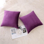 NiNi ALL Decorative Throw Pillow Covers Pack of 2, Velvet Throw Pillow Cases for Couch Pillows Cover Bedroom Living Room Outdoor, Pillow Covers 18x18 Inch Purple