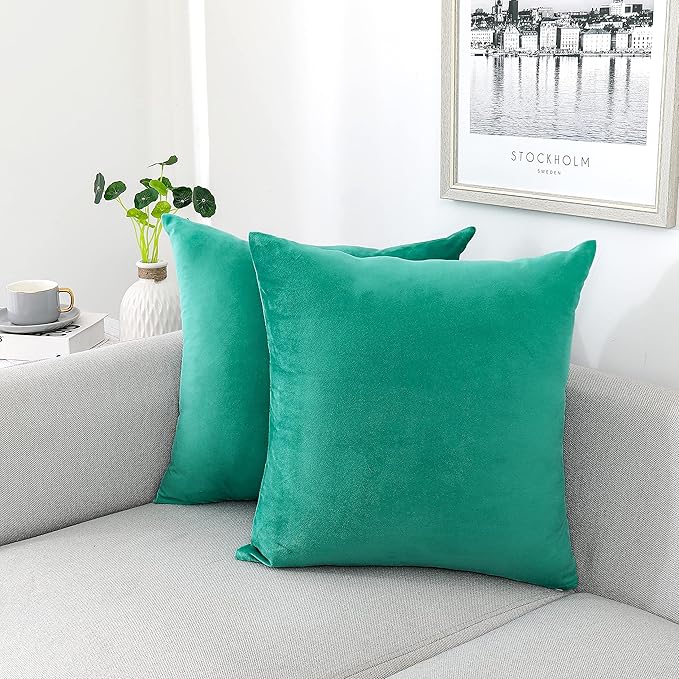 NiNi ALL Decorative Throw Pillow Covers Velvet 28x28 Inch Pack of 2 Aqua Green Cushion Covers Soft for Couch Sofa Bedroom Living Room Outdoor
